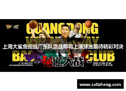 上海大鲨鱼迎战广东队激战即将上演球迷期待精彩对决